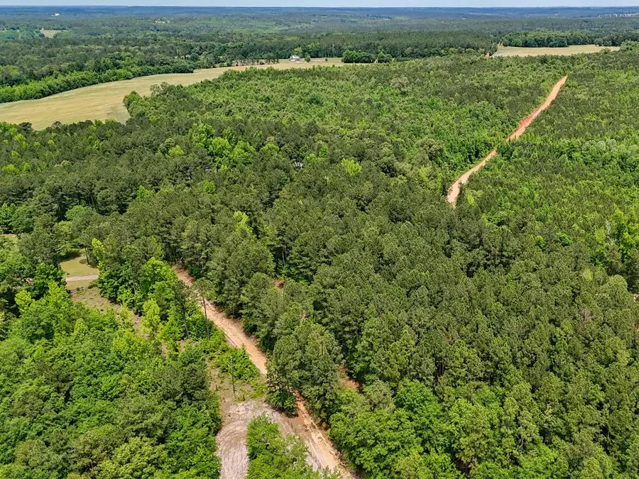 0 Lampp Road, Gibson, GA 30810 - Image #3