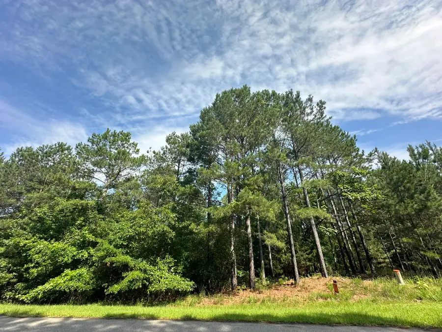 1108 Sunset Cove, Tignall, GA 30668 - Image #2