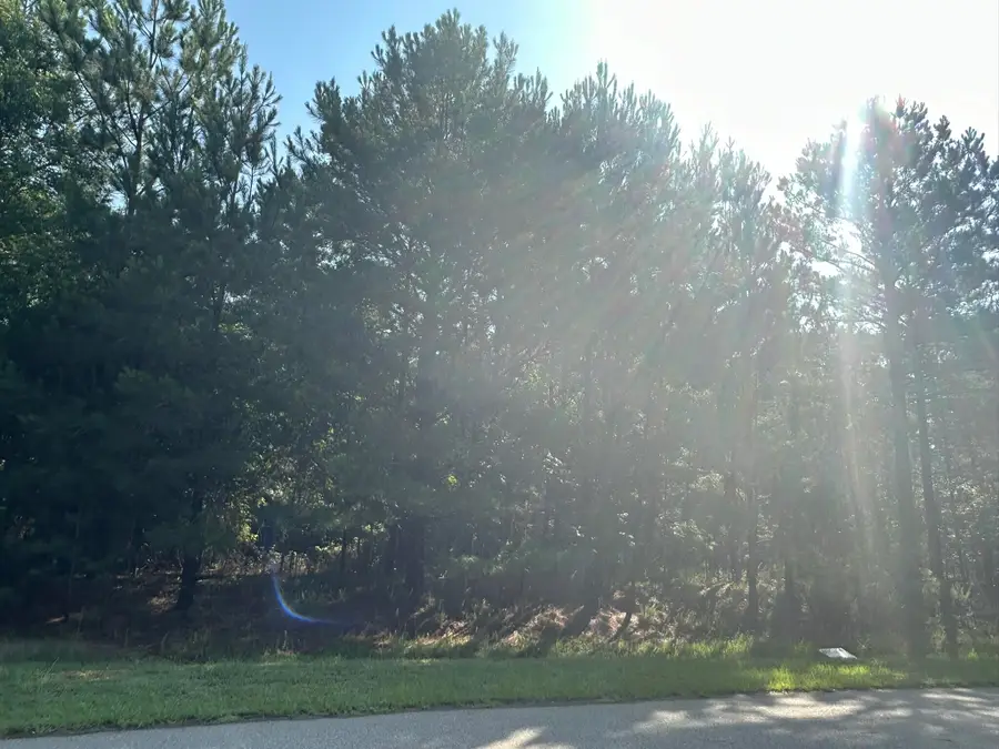 1108 Sunset Cove, Tignall, GA 30668 - Image #3