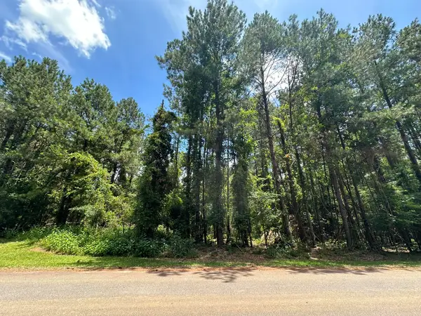 B72  L17 Charlotte Drive, McCormick, SC 29835