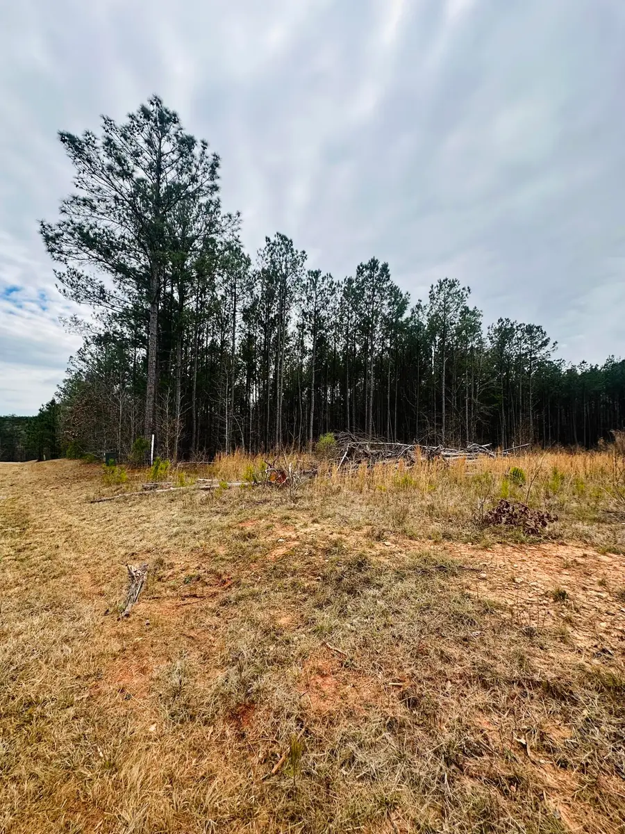 LOT 14 Wisteria Drive, Lincolnton, GA 30817 - Image #2