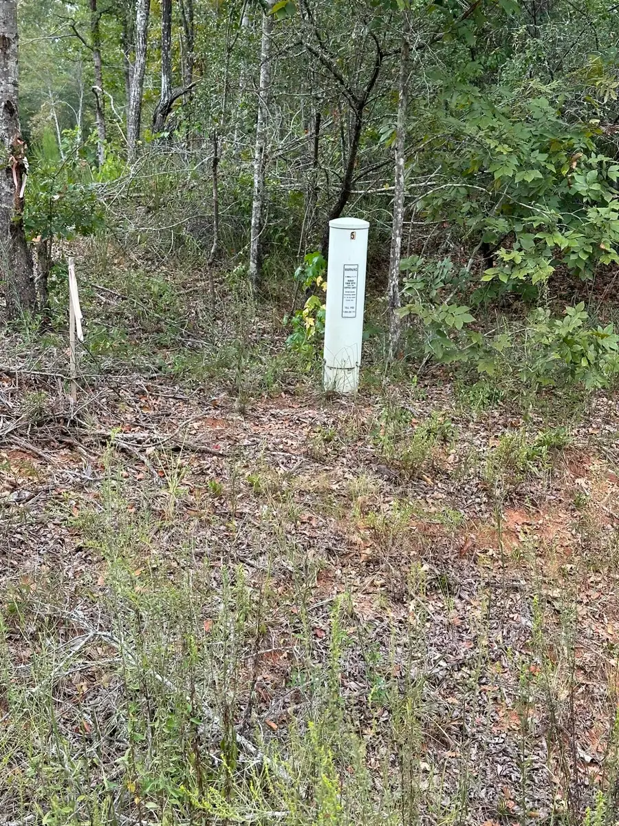 0-36 Nelson Court, Louisville, GA 30434 - Image #2