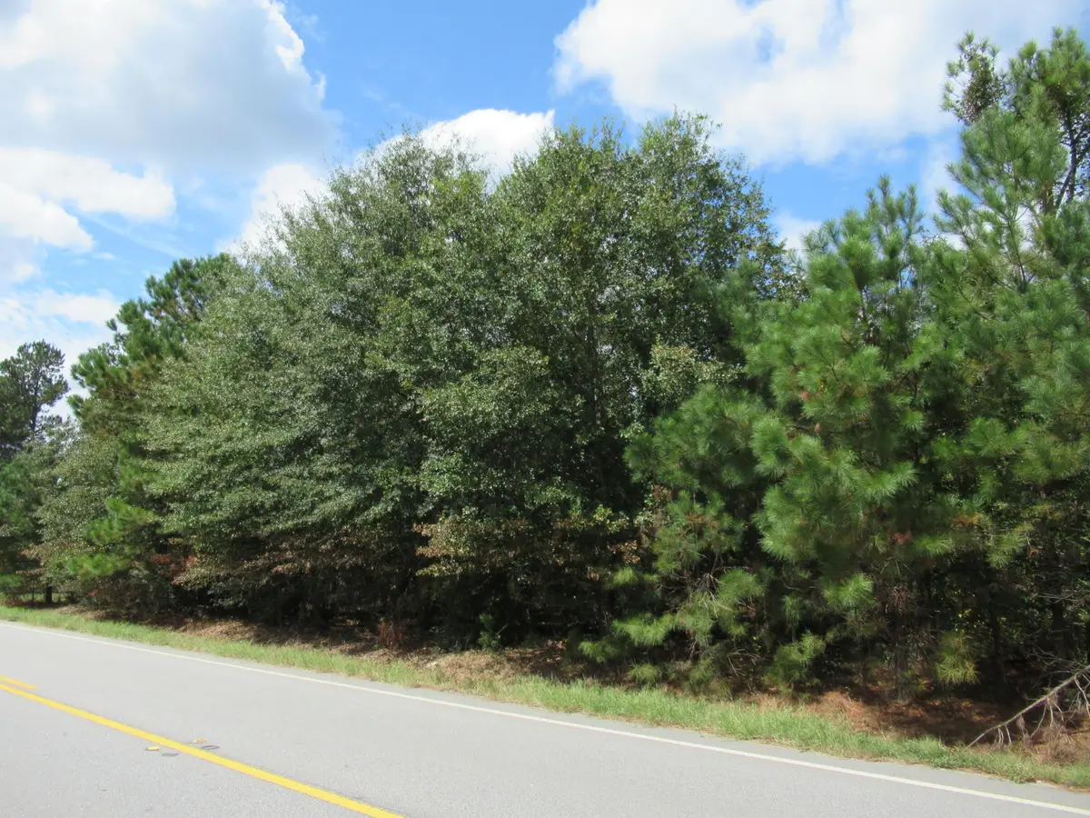 3245 Highway 88, Blythe, GA 30805 - Image #1