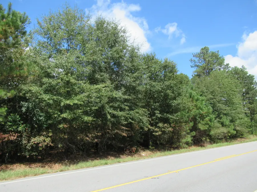 3245 Highway 88, Blythe, GA 30805 - Image #2