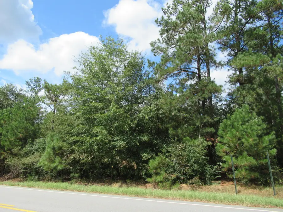 3245 Highway 88, Blythe, GA 30805 - Image #3