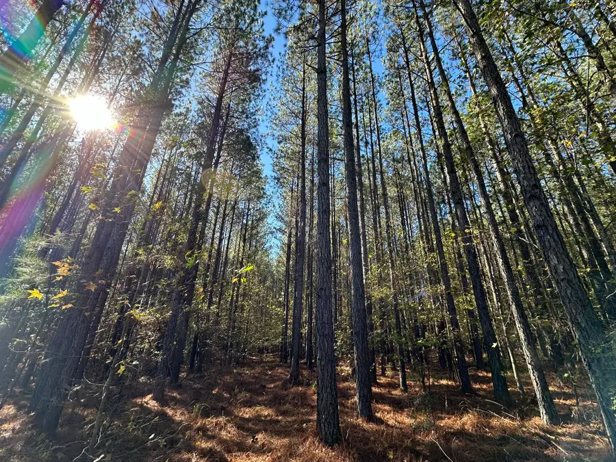 1277 Edge Lane, Tignall, GA 30668 - Image #2