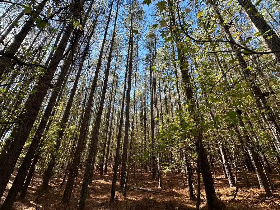 1277 Edge Lane, Tignall, GA 30668 - Image #3