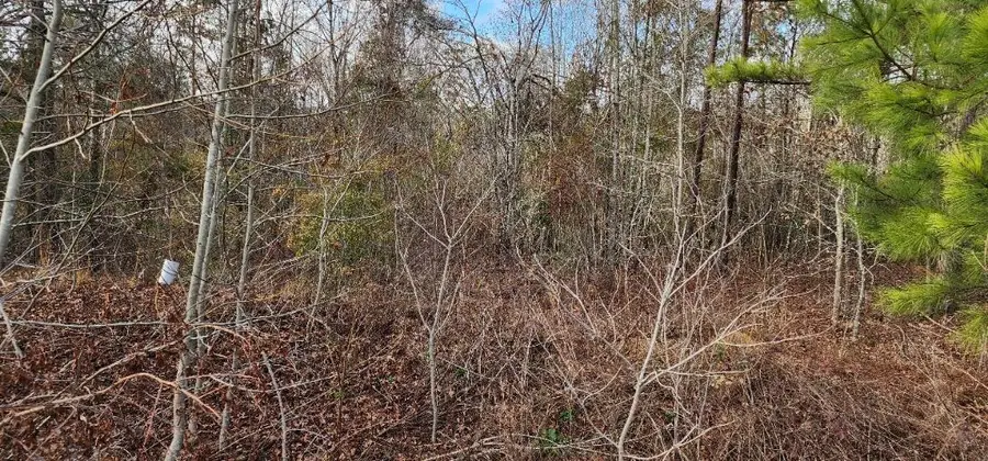 2664 New Hope Circle, Hephzibah, GA 30815 - Image #2