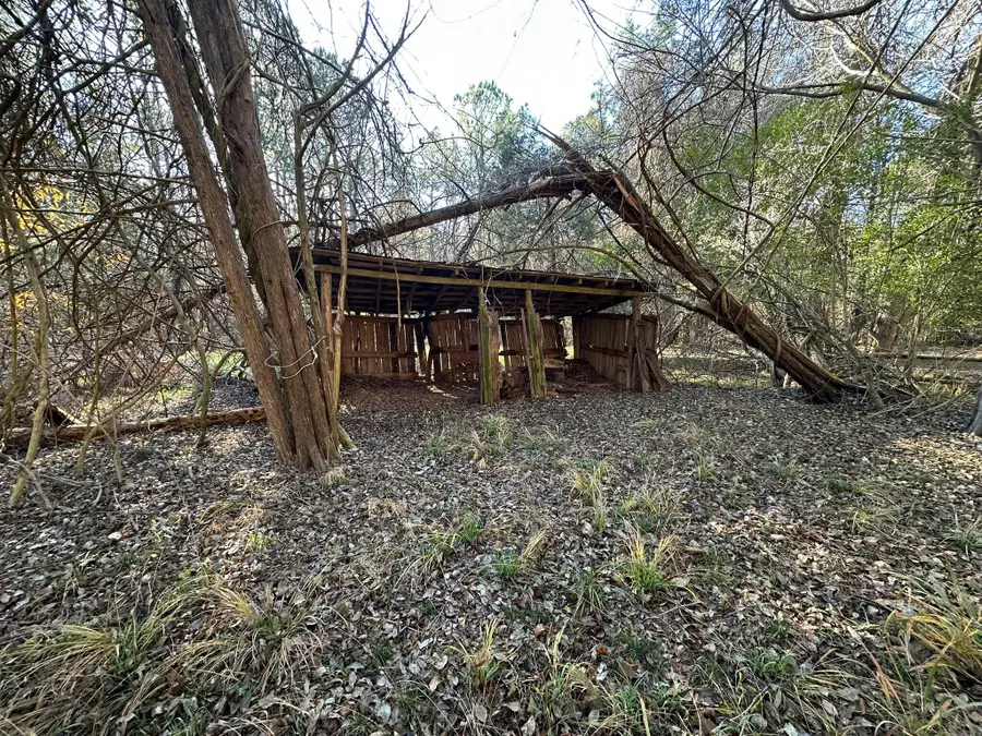 LOT 5 Saggus Road, Washington, GA 30673 - Image #2