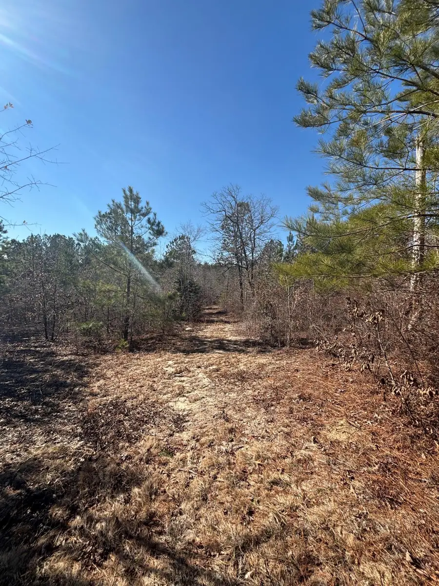 4 County Line Road, Mitchell, GA 30820 - Image #3