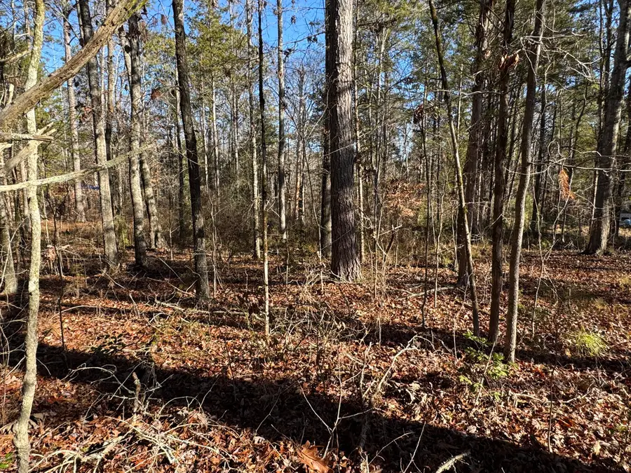 33 Lone Eagle Way, Iva, SC 29655 - Image #2