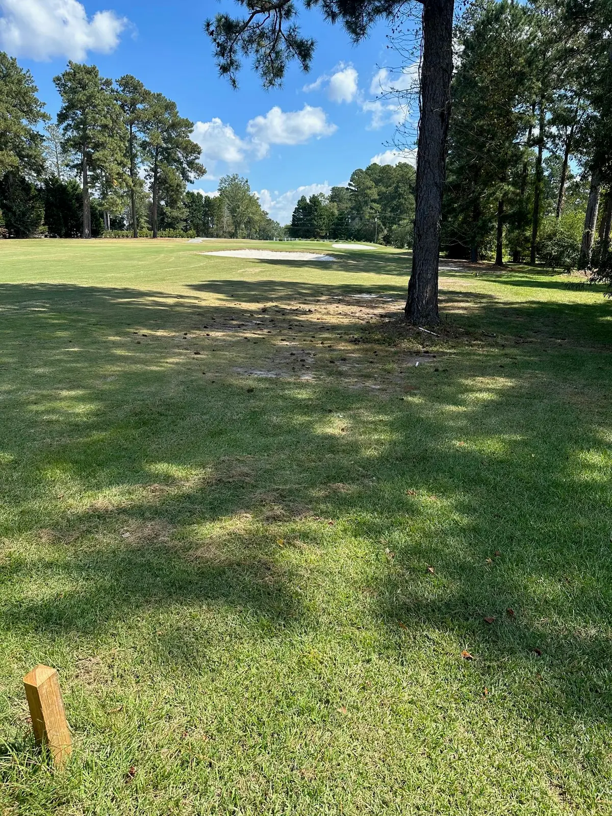 000 NW South Lake Drive, Thomson, GA 30824 - Image #1