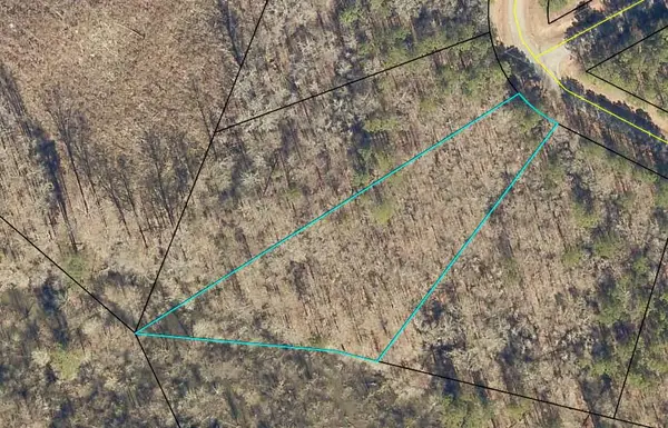 LOT 76 W Plainview Drive, Warrenton, GA 30828