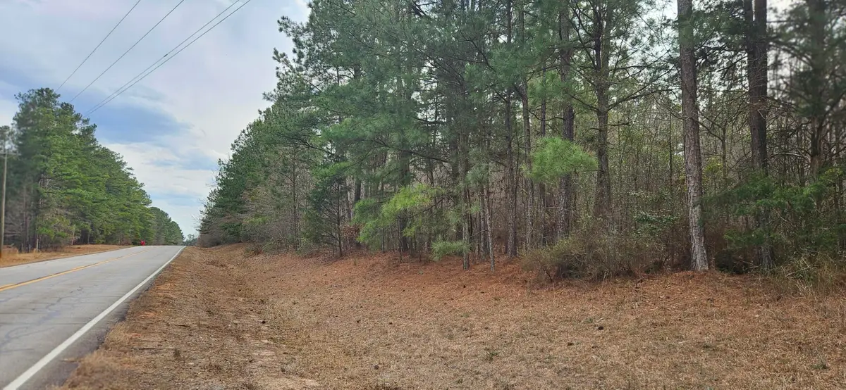 0 Hwy 220 Tract B, Lincolnton, GA 30817 - Image #1