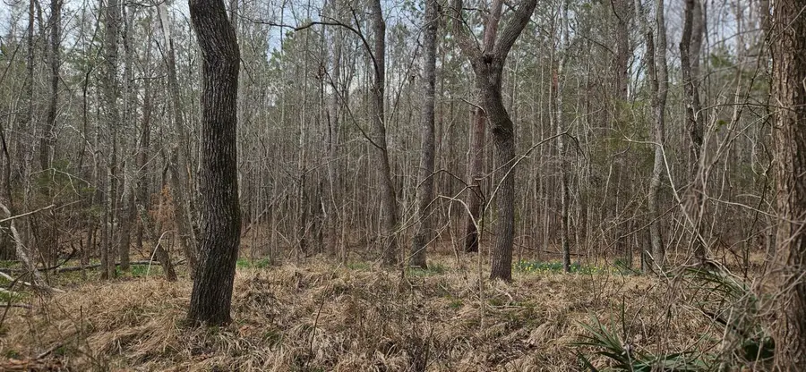 0 Hwy 220 Tract B, Lincolnton, GA 30817 - Image #3