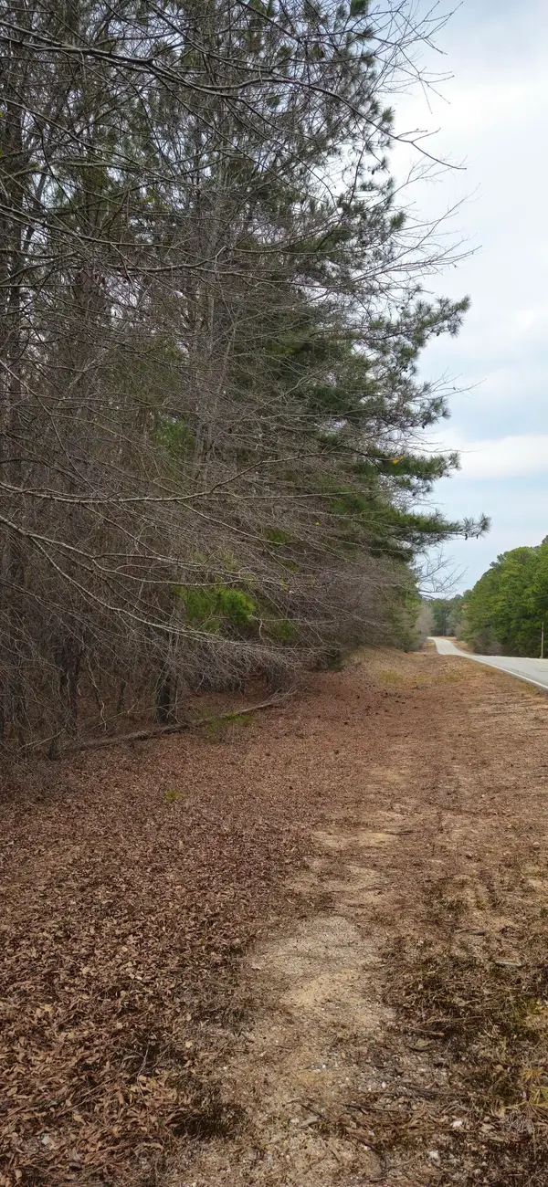 0 Hwy 220, Lincolnton, GA 30817