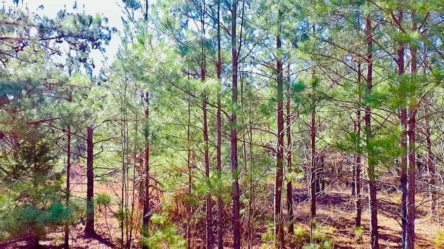 0 Loon Road, Barnwell, SC 29812 - Image #2