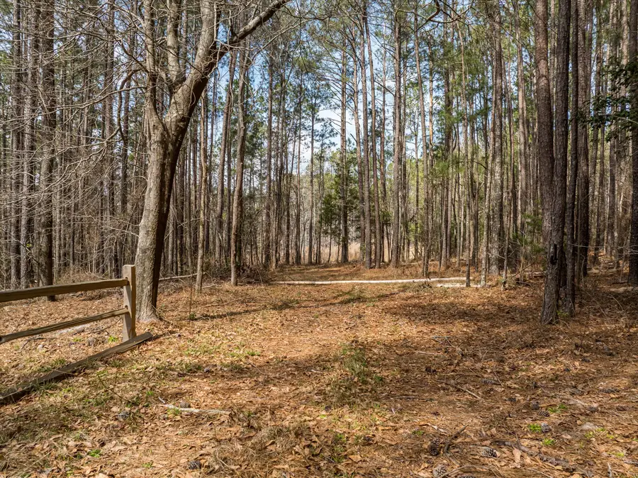 3350 Lloyd Paschal Road, Appling, GA 30802 - Image #3