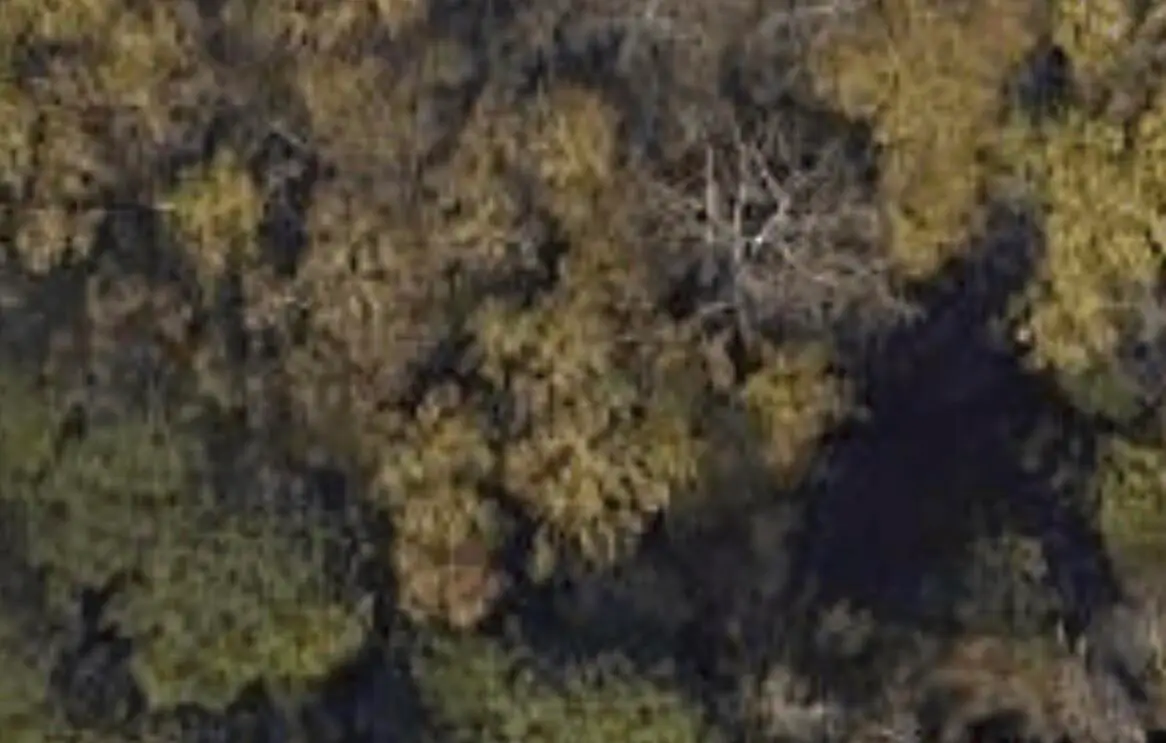 3927 Mack Road, Martinez, GA 30907 - Image #1