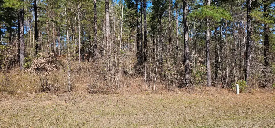 107 Loblolly Lane, Hephzibah, GA 30815 - Image #3