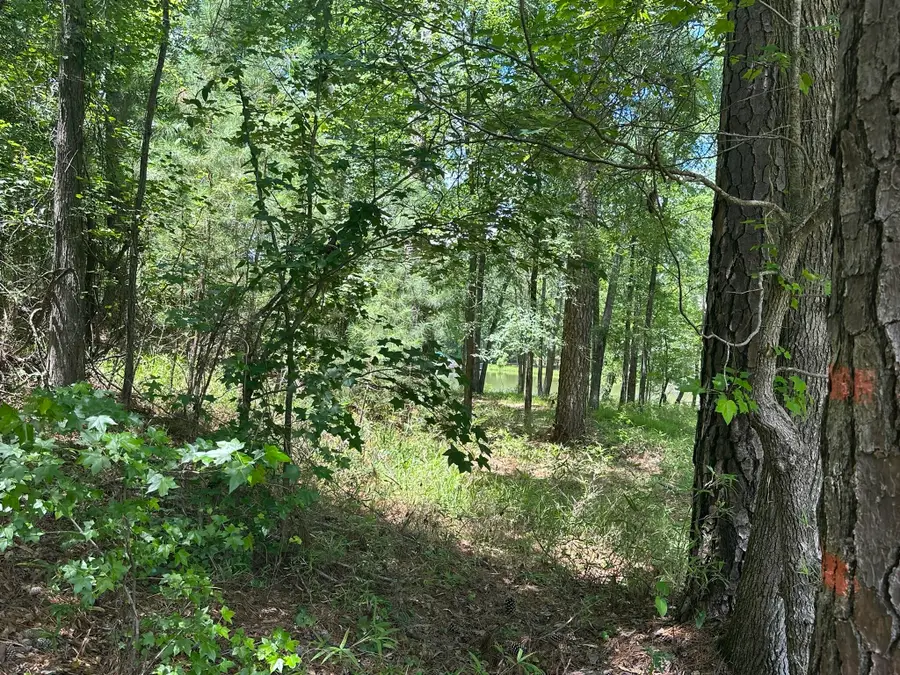 1126 Sunset Cove, Tignall, GA 30668 - Image #2