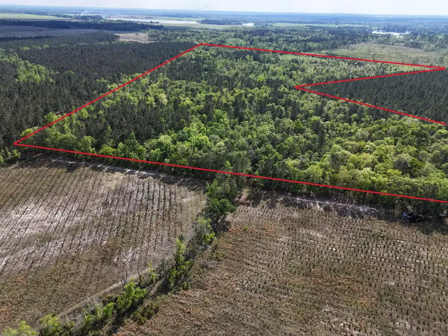 0 305 Highway, Midville, GA 30441 - Image #2