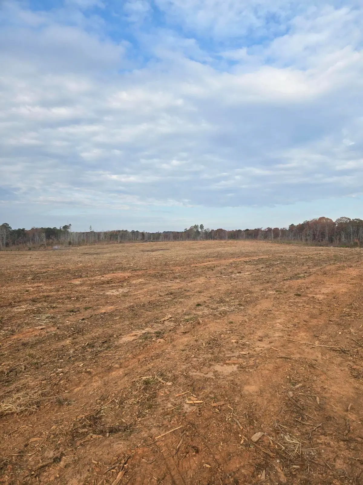 0 Elberton Highway, Lincolnton, GA 30817 - Image #1