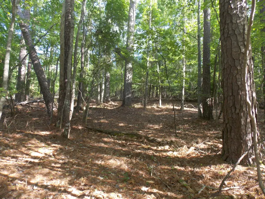 12 Riverview Court, Lincolnton, GA 30817 - #3