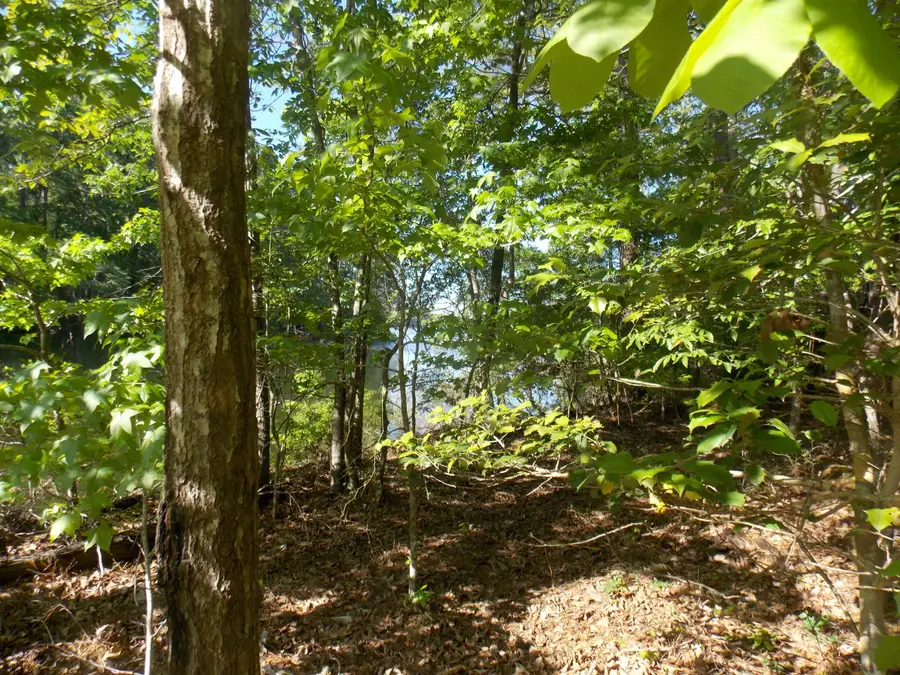 13 Riverview Ct, Lincolnton, GA 30817 - #2