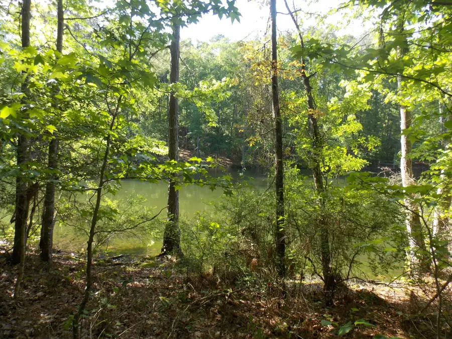 13 Riverview Ct, Lincolnton, GA 30817 - #3