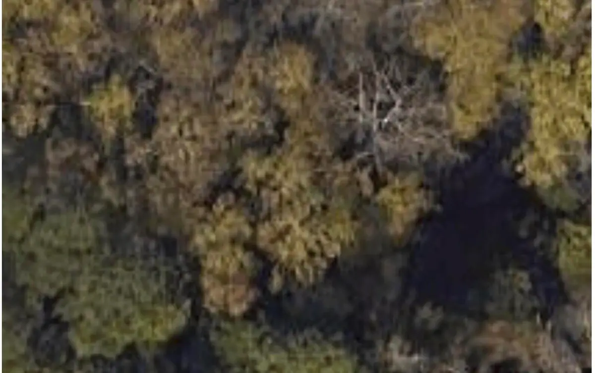 0 Settlement Road, Martinez, GA 30907 - Image #1