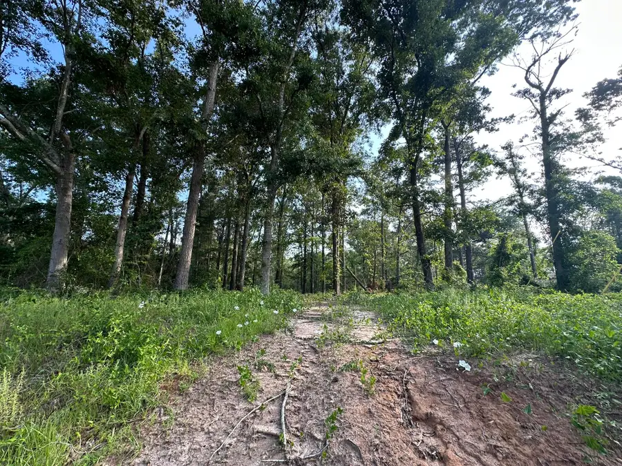 0 W Quaker Road, Keysville, GA 30816 - Image #3