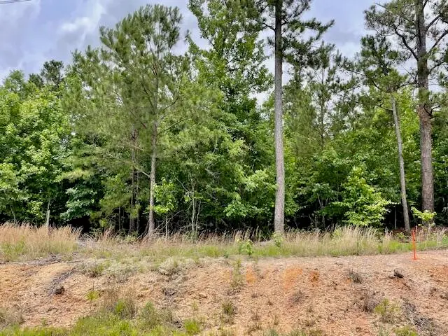 0 Lot 4 Indian Road, Lincolnton, GA 30817 - Image #2