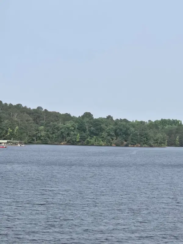 0 Mccormick Hwy Highway, Lincolnton, GA 30817