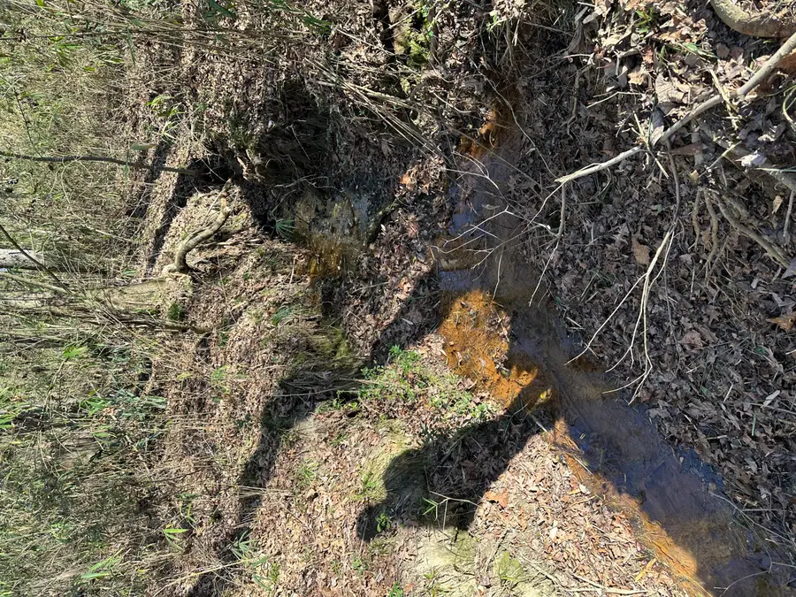 110 Vanna Lane, Waynesboro, GA 30830 - Image #3