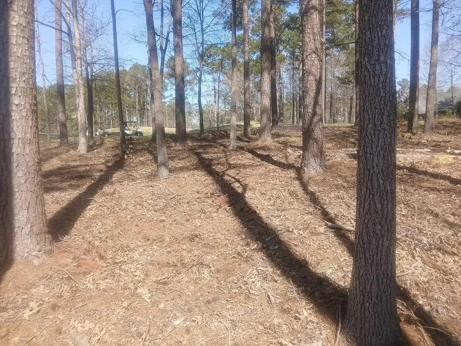 19 Belfast Court, North Augusta, SC 29860 - #3