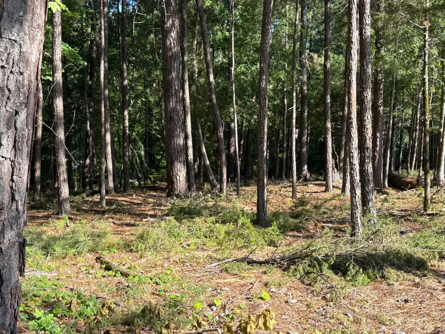 309 Vista Lane, McCormick, SC 29835 - Image #2