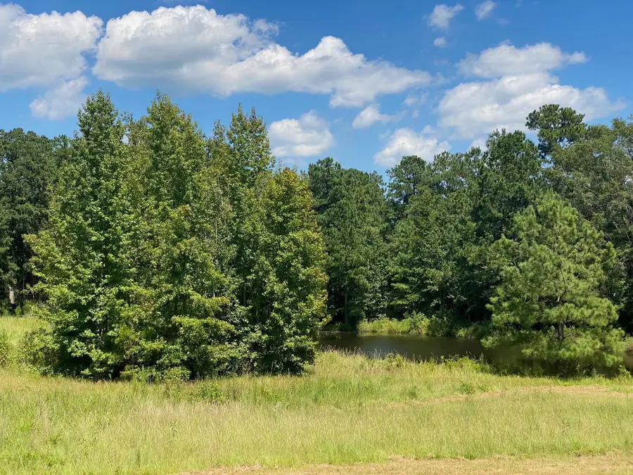 2829 Sellars Road, Appling, GA 30802 - Image #2