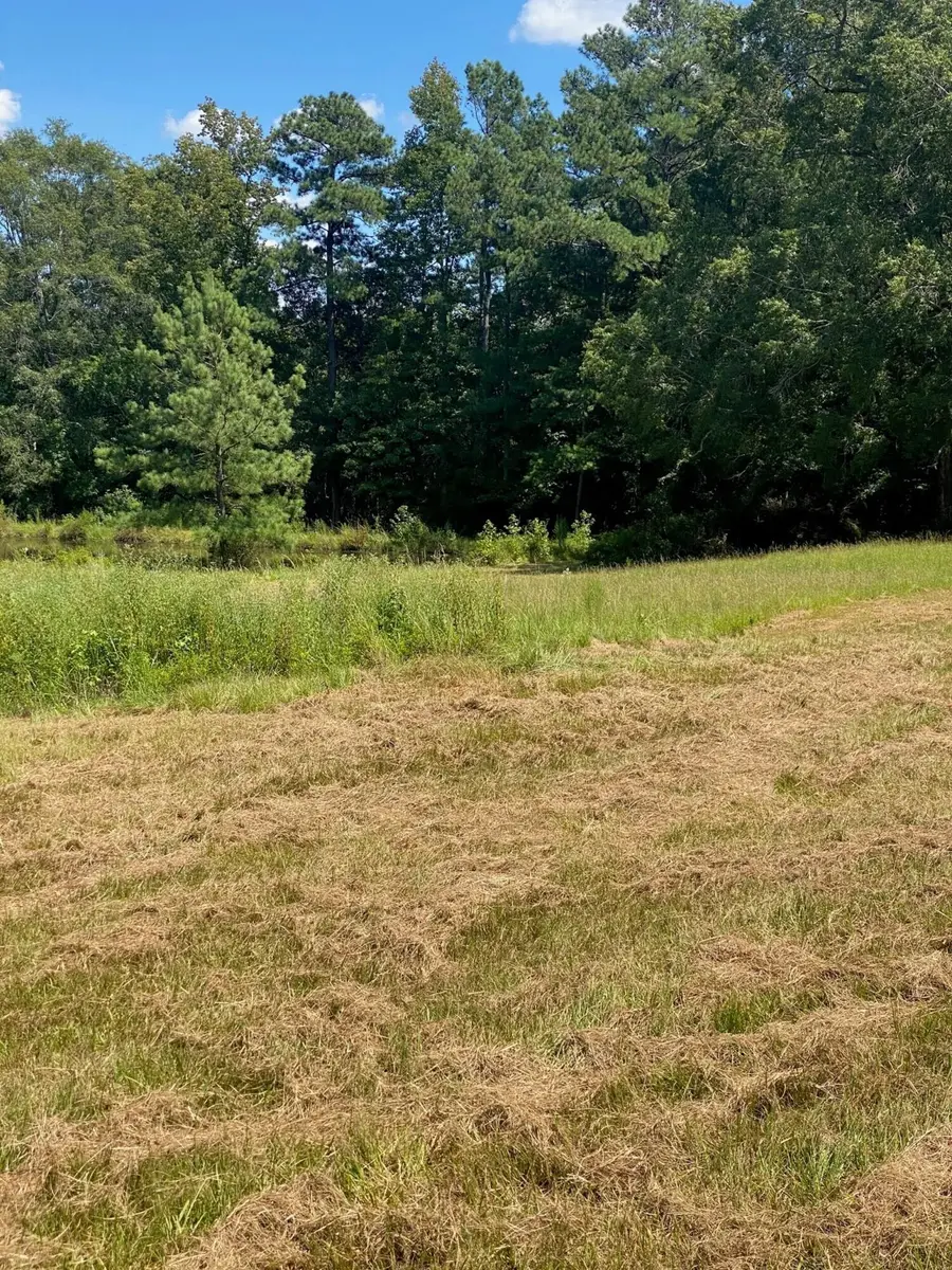 2839 Sellars Road, Appling, GA 30802 - Image #2