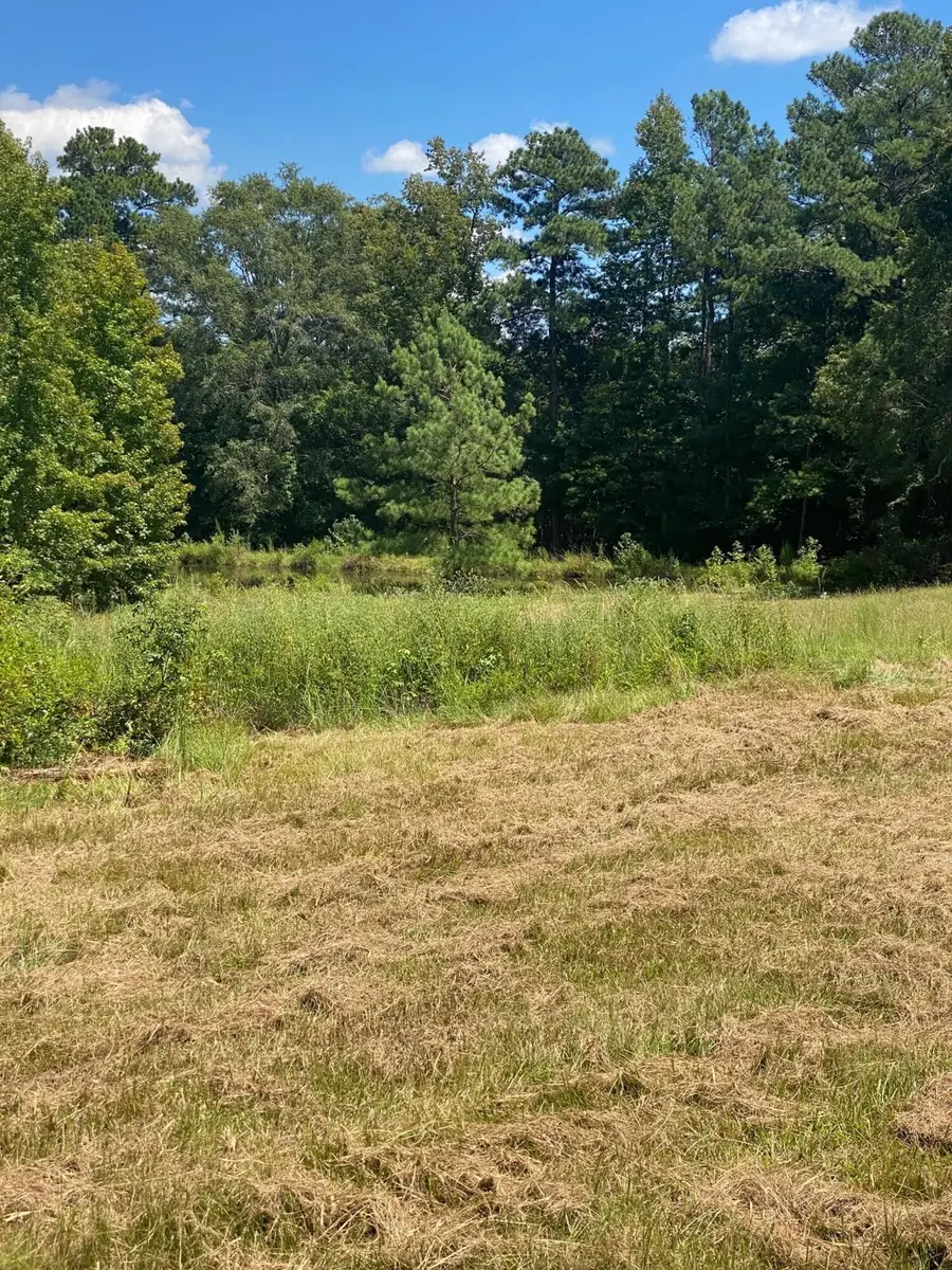 2839 Sellars Road, Appling, GA 30802 - Image #3