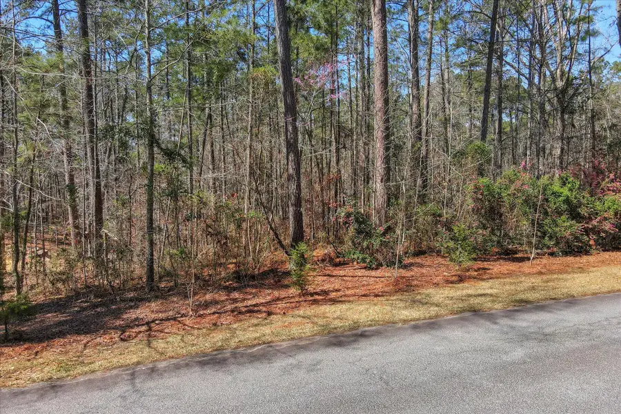 L28 B 3 Bereau Dr Drive, McCormick, SC 29835 - Image #3
