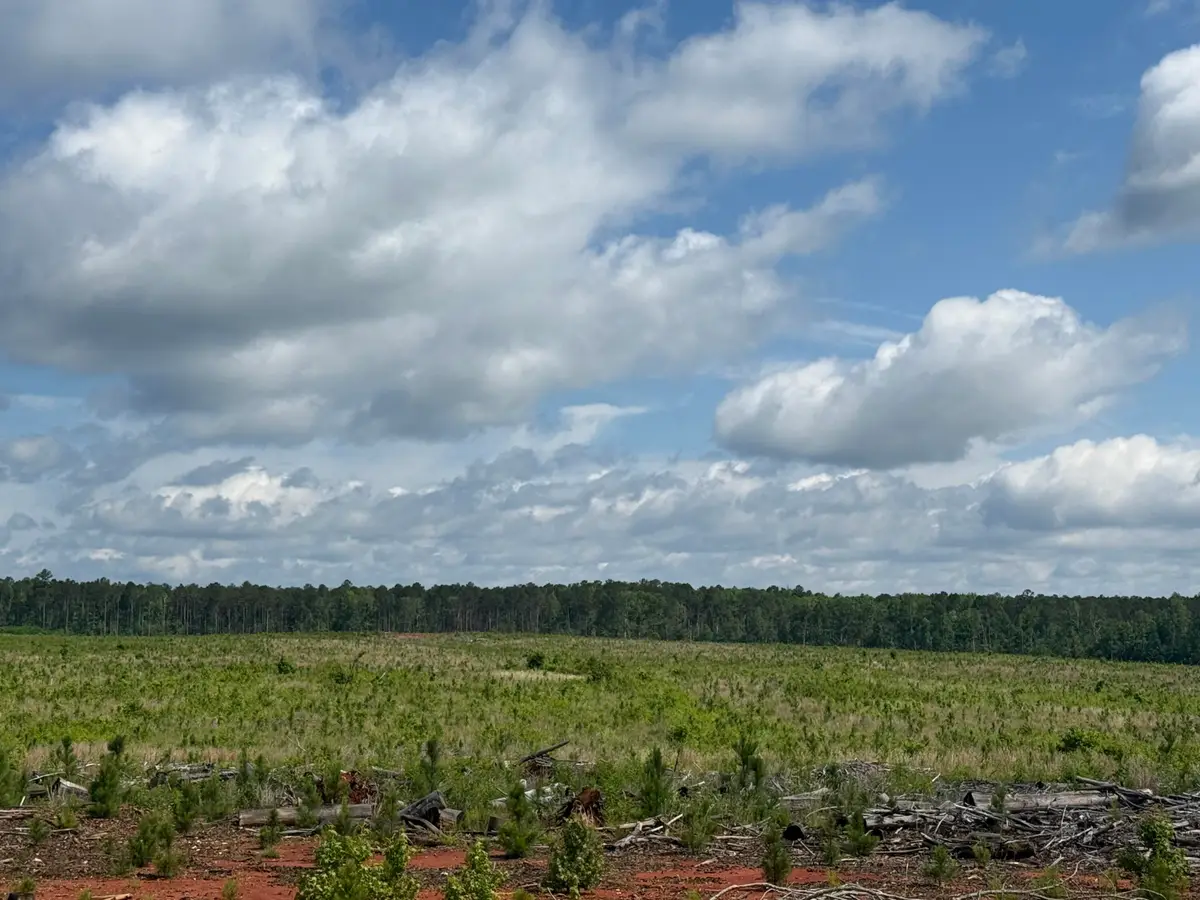 300 Hwy 378 W, Edgefield, SC 29824 - Image #1