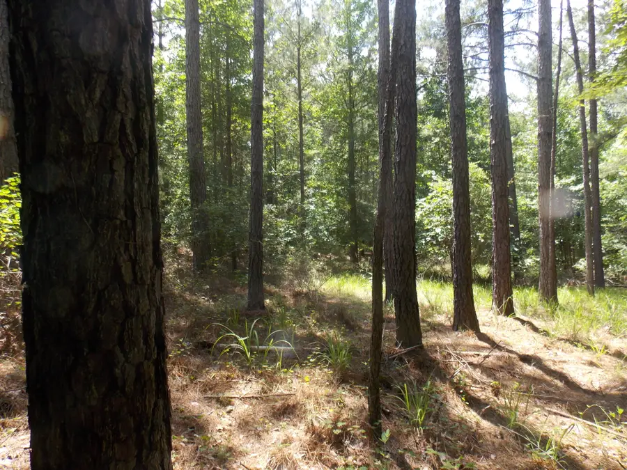 1054 Pine Point Lane, Tignall, GA 30668 - #2