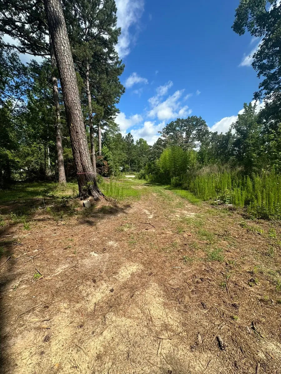 170 Pressley Lane, Hephzibah, GA 30815 - Image #3