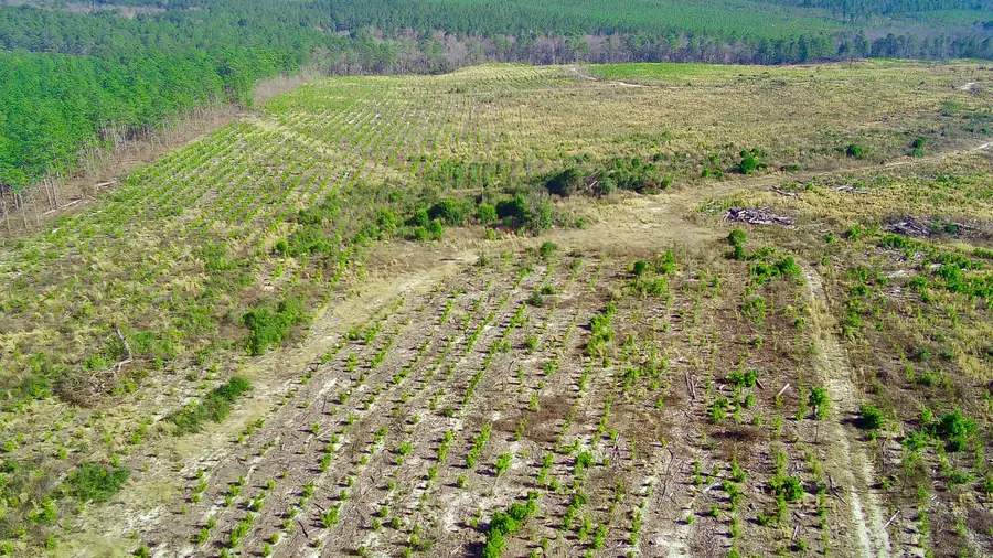 000 Three Notch Road, Monetta, SC 29105 - Image #3