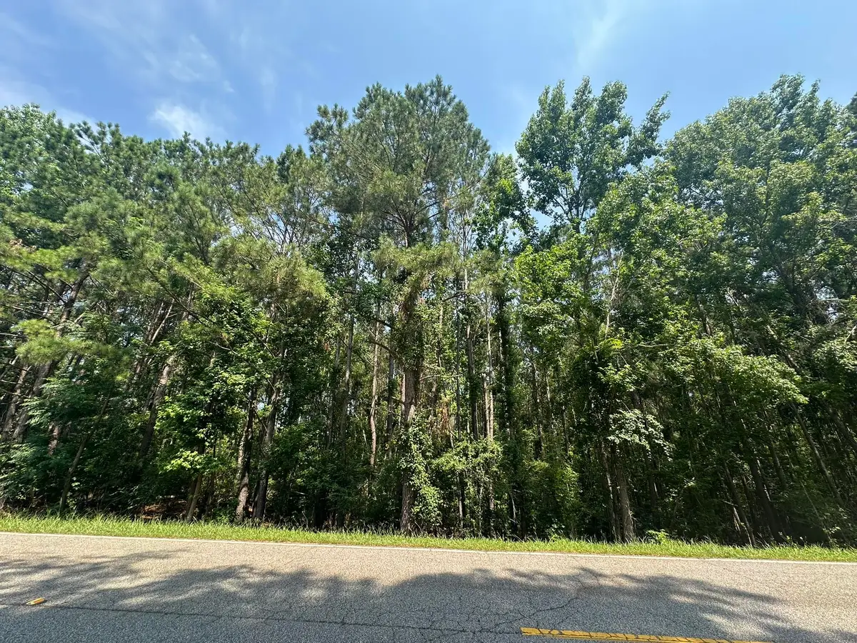 Lot 1-E Ridge Road, Appling, GA 30802 - Image #1