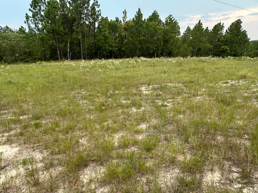 2070 Greenland Road, Blythe, GA 30805 - Image #3