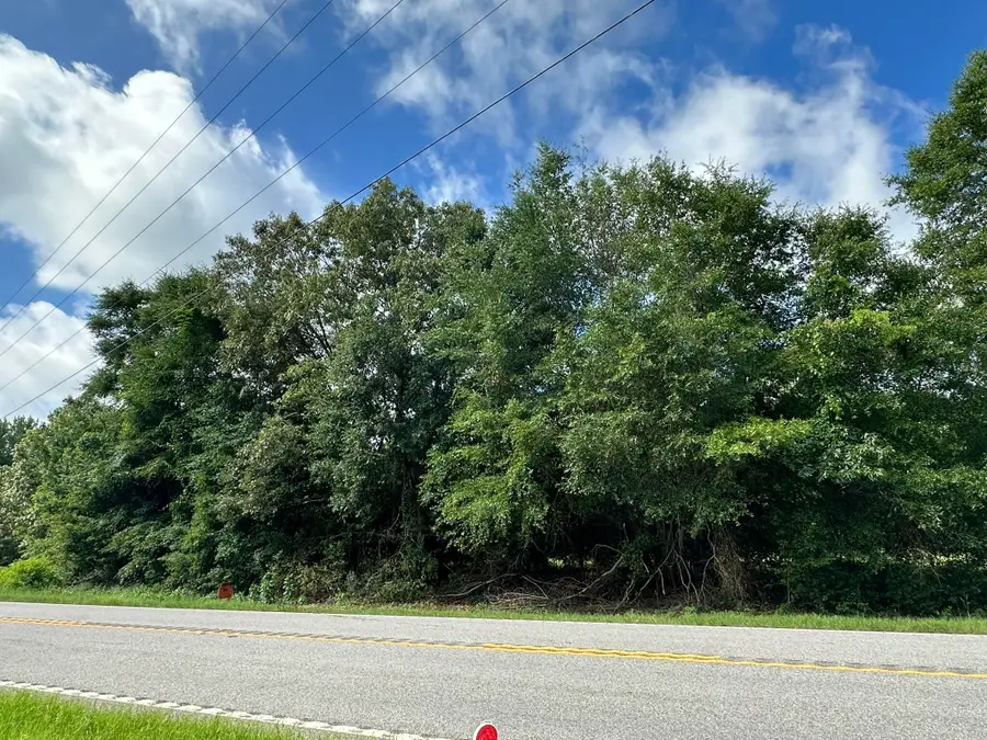 Lot E S Ga Highway 23, Waynesboro, GA 30830 - Image #2