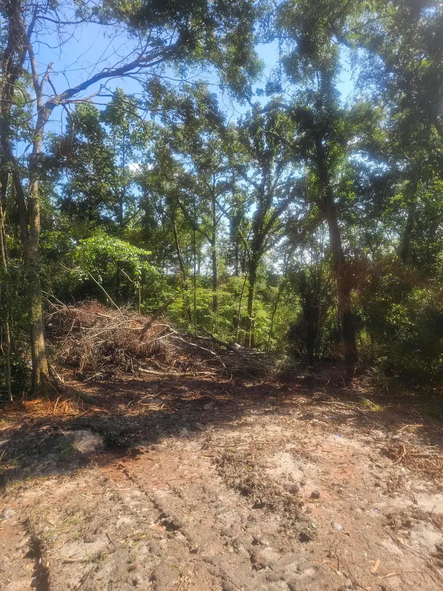 470 Forrest Drive, Louisville, GA 30434 - Image #2