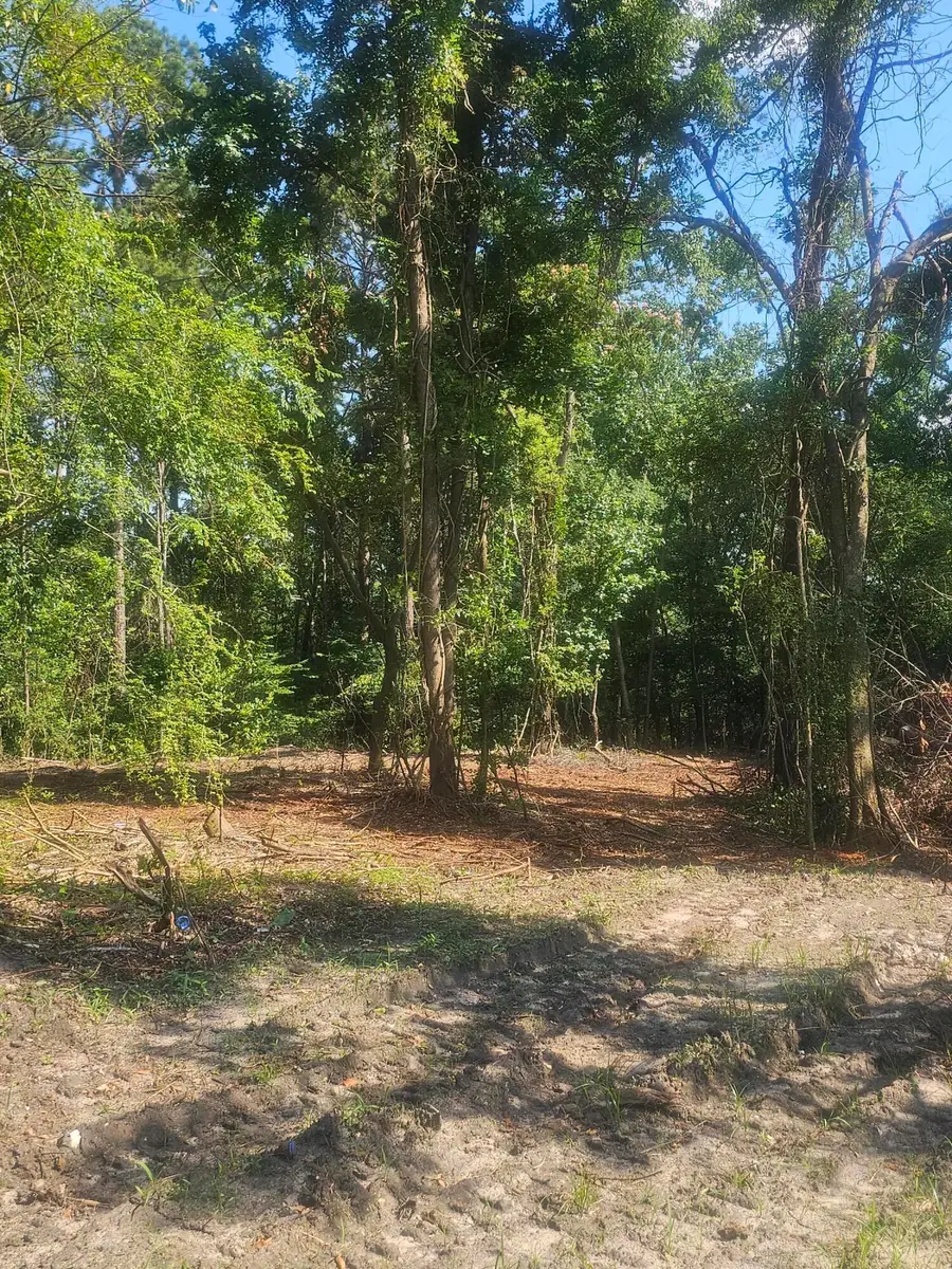 470 Forrest Drive, Louisville, GA 30434 - Image #3